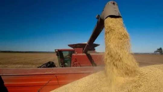 Economía "serrucho": la actividad en mayo habría vuelto a crecer tras la caída en abril