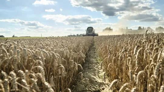 El nacimiento de Esperanza: la gesta santafesina que dio origen al Día de la Agricultura Nacional