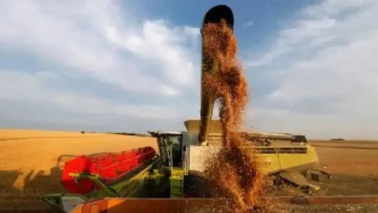 Fuerte liquidación del complejo agroexportador: “USD 3.000 millones por parte de la exportación de granos”