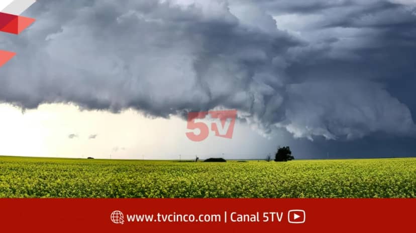 Fenómeno del Niño: Hay que estar atentos a los pronósticos de fin de año