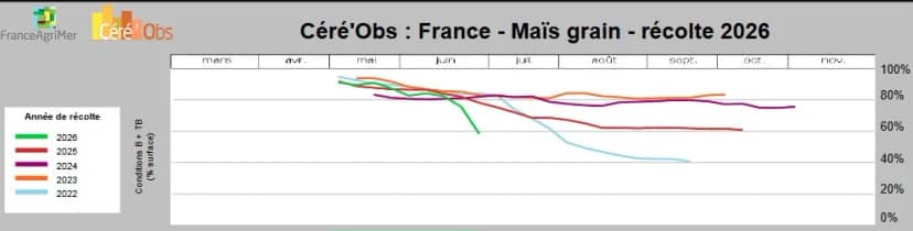 ¡Por fin! Los precios del maíz americano comenzaron a arbitrarse con los valores del cereal europeo