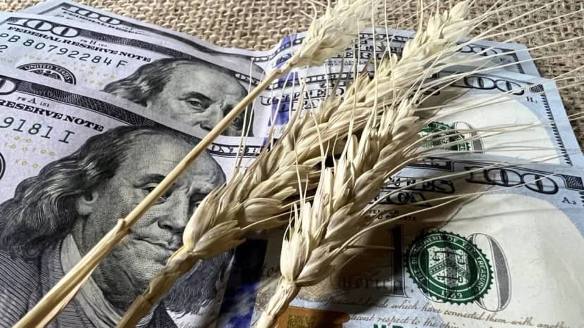 ¿Quedan dólares del agro? Los cálculos que hace el mercado sobre las divisas que todavía podrían ingresar