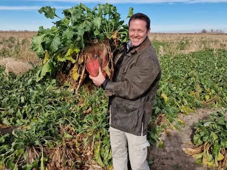 Sorpresa: el boom de la remolacha forrajera que rompe todos los moldes para “fabricar” carne