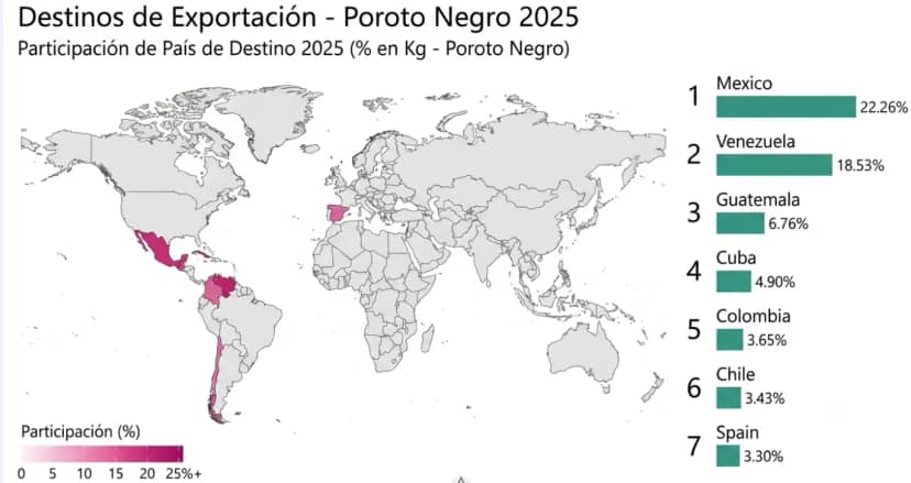 ¡Qué mala suerte! Brasil se llevó puesto el negocio argentino de poroto negro y la variedad elegida para reemplazarlo tenía como principal destino un país vecino de Irán