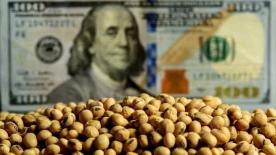 El campo liquida menos dólares y le baja el ritmo a la acumulación de reservas del Banco Central