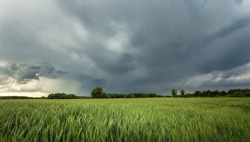 Clima en La Rioja: Despejado el pronóstico para hoy, 6 de julio
