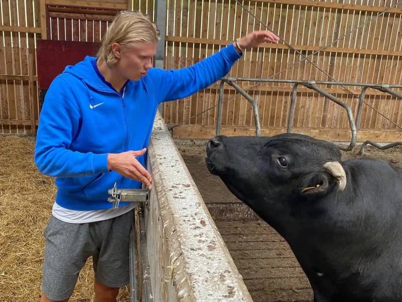 Del héroe ante Brasil al sueño rural: Haaland quiere ser “el mejor agricultor” de Noruega