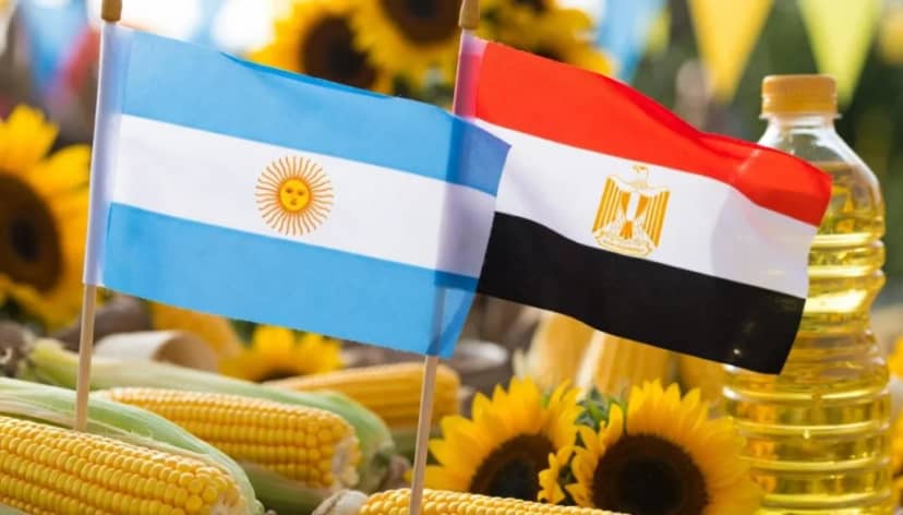 Los rivales del Mundial y el agro: con Egipto, los granos también están en la cima de la pirámide exportadora
