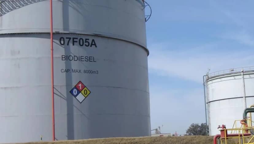 A falta de biodiésel, bueno es el aceite neutro: una “colectora” en la industria de la soja para eludir el proteccionismo