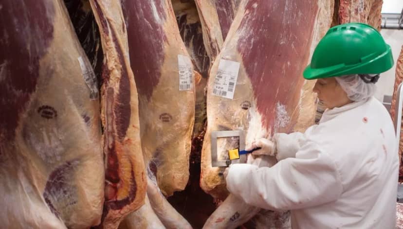 La faena bovina se redujo 8,9% en el primer semestre y significó casi 100.000 toneladas menos de carne