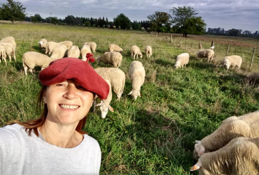 Para darle más importancia dentro del Código Alimentario, investigadores impulsan un proyecto para caracterizar a la leche de oveja: “No tiene parámetros propios”, dicen