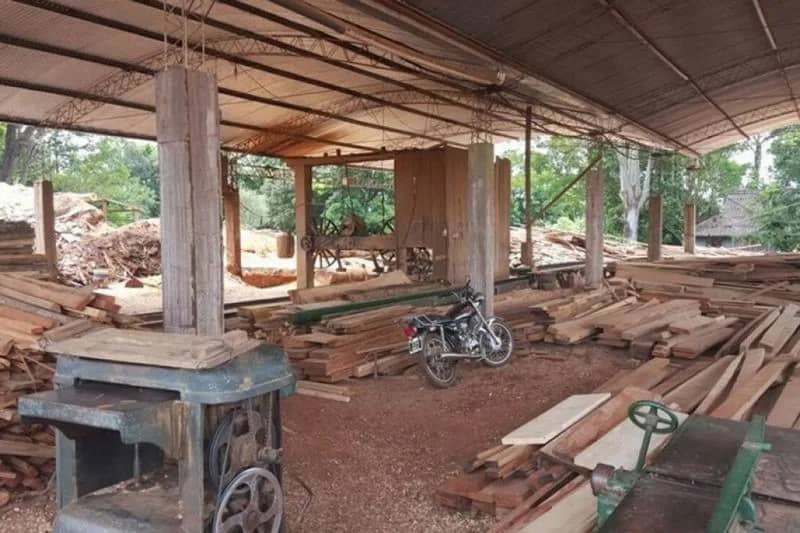 Crisis: la producción de madera cayó un 13,6% intermensual en mayo