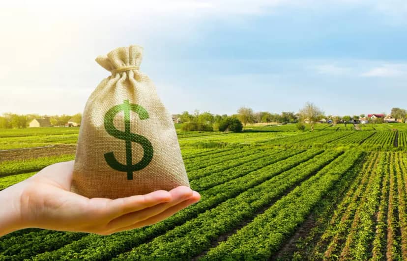El dólar que quiere el campo y el “aumento exponencial” que se viene