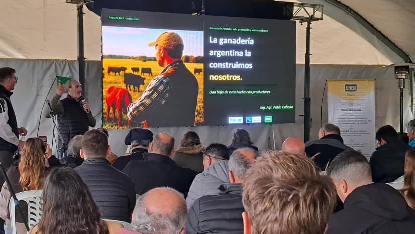 “Ganadería Posible”, el proyecto de una regional CREA que busca “redefinir la agenda” de ese sector, produciendo más y mejor alineados con las metas ambientales