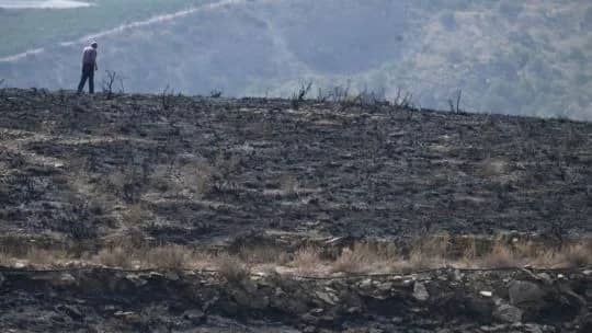 España: ceden los incendios que dejaron atroz reguero de muerte y destrucción en Andalucía