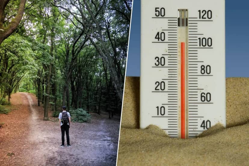 No eres tú, es el termómetro: no tomes decisiones importantes en ola de calor