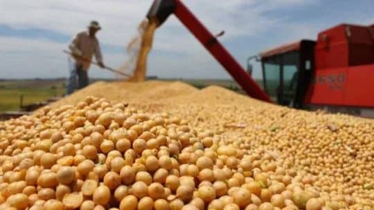 La campaña de soja cerró con 50 millones de toneladas y aportará US$ 19.000 millones