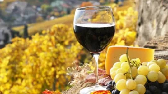 Crisis en el sector vitivinícola: ¿por qué la botella de vino vale más que su contenido?