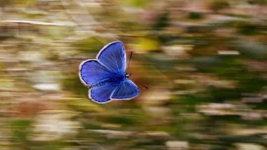El efecto mariposa de ChatGPT