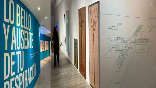 El Rojas vuelve a marcar el pulso de las artes visuales