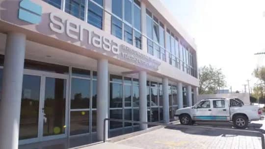 Escala salarial de SENASA: de cuánto es el sueldo para los profesionales y técnicos en julio de 2026