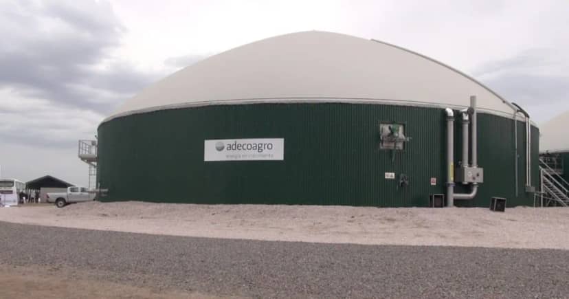 Gigante del agro argentino sale de compras en Brasil y fortalece su presencia regional