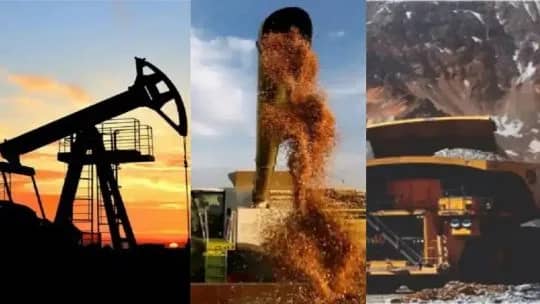 “No es solo Vaca Muerta y litio”: Schwarz destacó el crecimiento de nuevas inversiones productivas