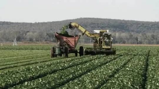 Escenario favorable para el agro: "Hay una ola de inversiones que están llegando al sector”