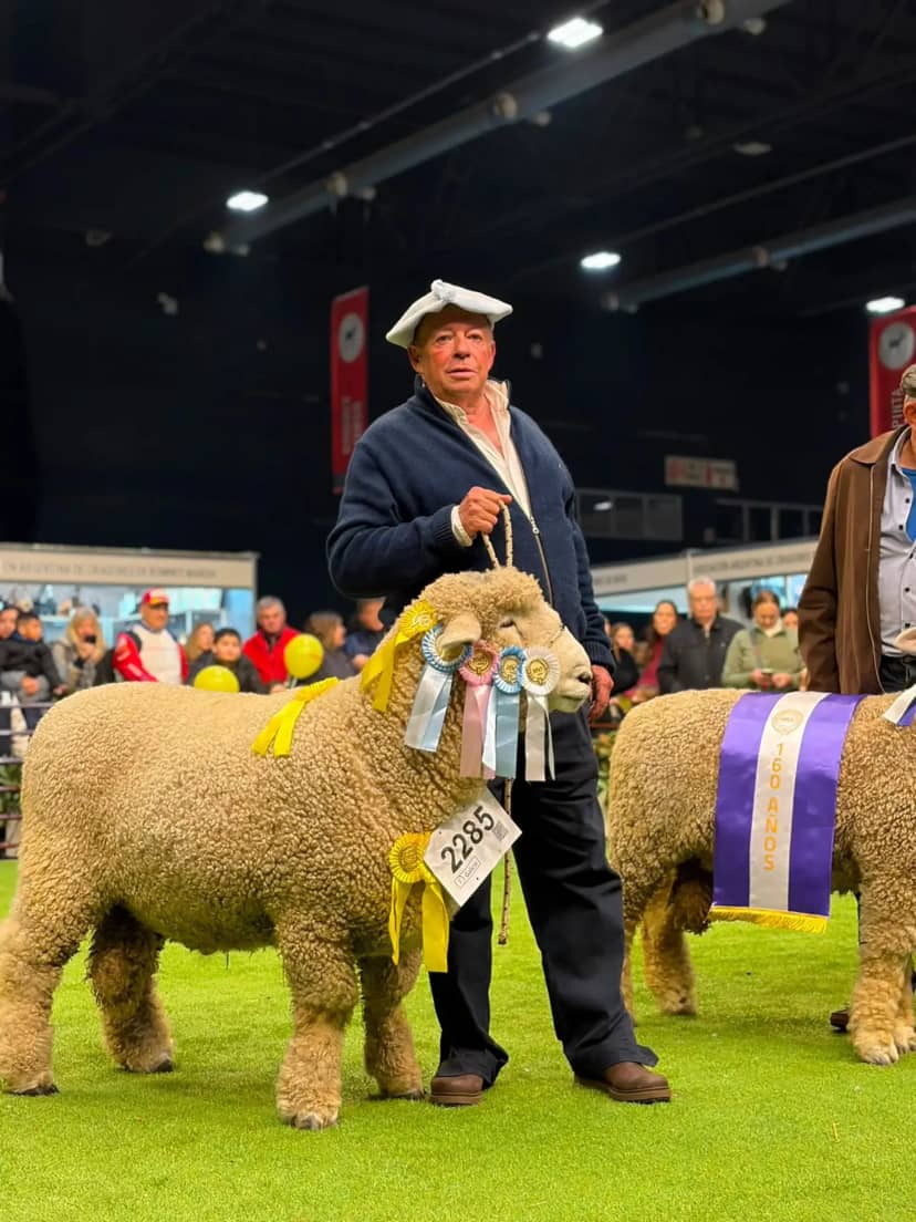 Una cabaña correntina conquistó el Gran Campeón Romney Marsh en la Exposición Rural