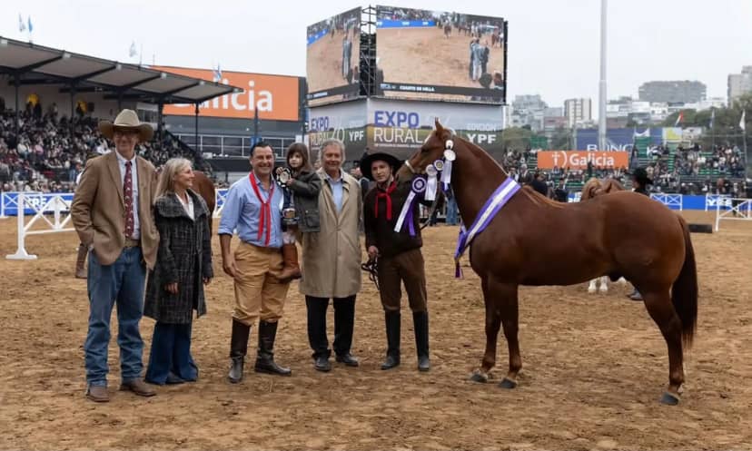 Un caballo de Mburucuyá ganó el Reservado Gran Campeón Macho en Palermo