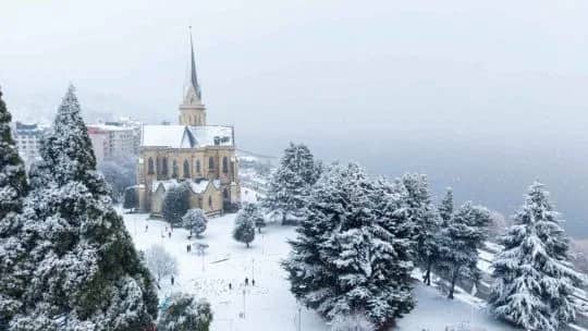 Bariloche deslumbró en la Expo Rural: gastronomía, invierno y turismo masivo