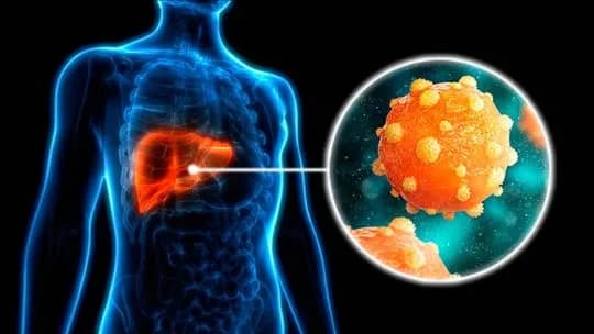 Día Mundial de la Hepatitis: qué es la “VTV” hepática y qué estudios incluye