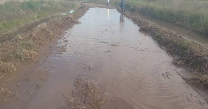 “Cambiar la historia”: productores de un partido bonaerense presentaron un proyecto al municipio para gestionar los caminos rurales.