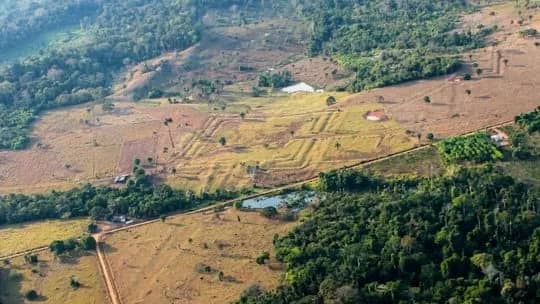 La civilización perdida del Amazonas que sorprende a la ciencia: hallan una red de 20 mil estructuras oculta bajo la selva