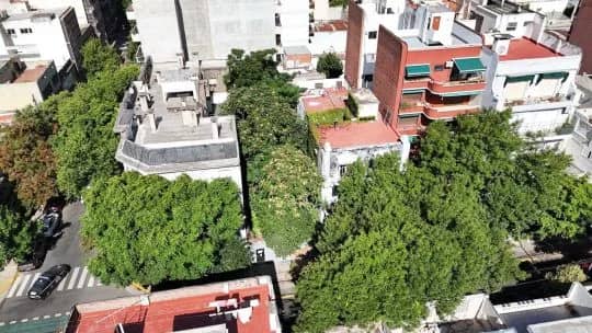 El bosque oculto del barrio de Almagro que los vecinos quieren salvar antes de que sea tarde