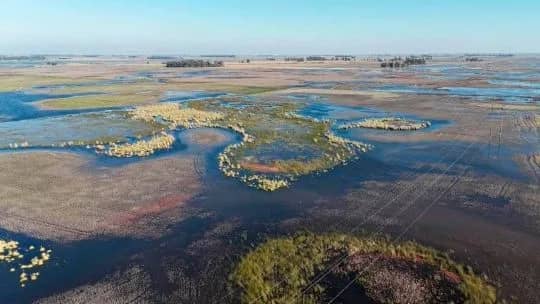 La temperatura récord en el Pacífico alertó a los especialistas por el impacto del "Súper El Niño" en Argentina