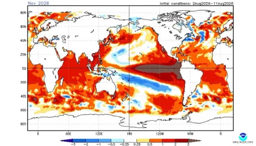 Súper El Niño: elevan al 95% la probabilidad de un evento muy fuerte