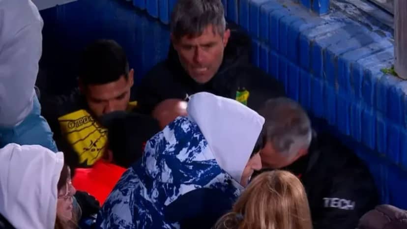 Escandalosa pelea entre Guillermo Barros Schelotto y Vaccari tras el empate en Liniers - TyC Sports