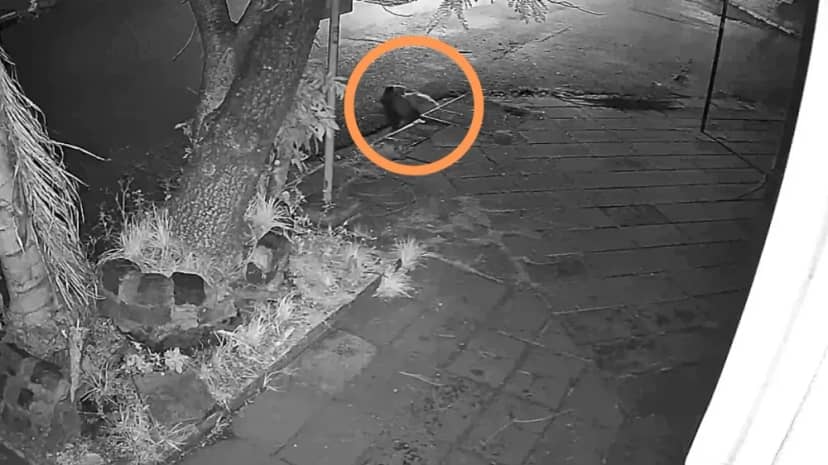 Misterio: una joven fue captada ingresando a una boca de tormenta