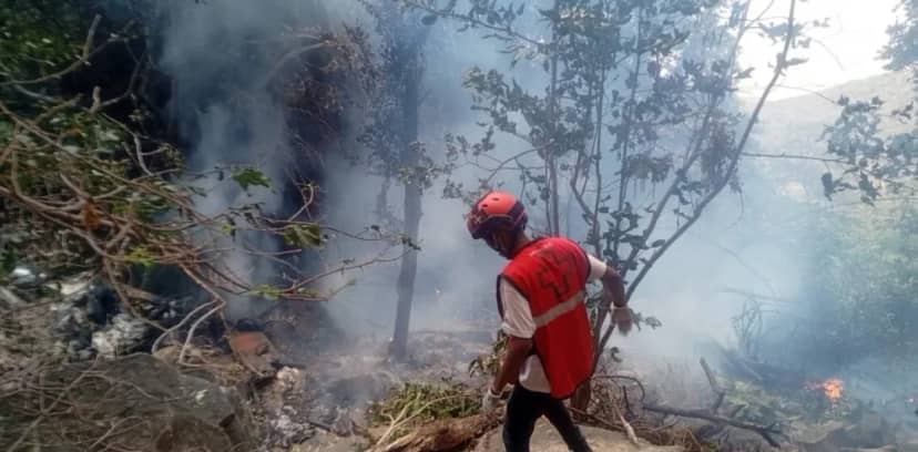 Se estrelló un helicóptero en Kenia: murió el jefe de inteligencia de Ecuador