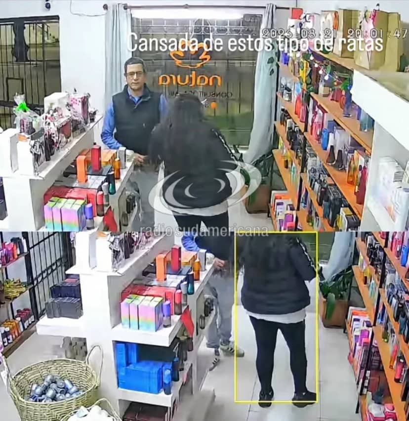 Se cansó de los robos y publicó el video para identificar a los delincuentes