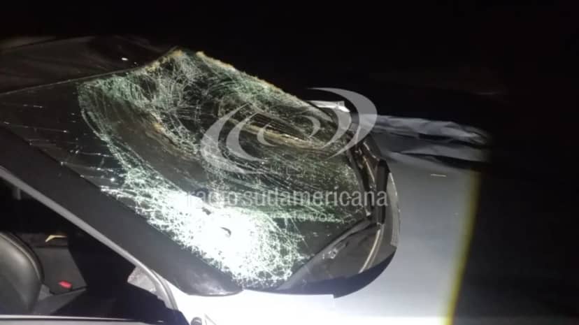 Corrientes: un auto chocó contra una vaca sobre la Ruta 9