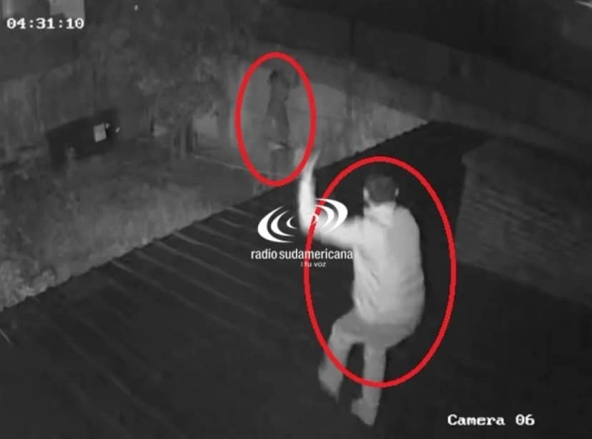 Tras la detención de su cómplice, otro delincuente acecha el Molina Punta