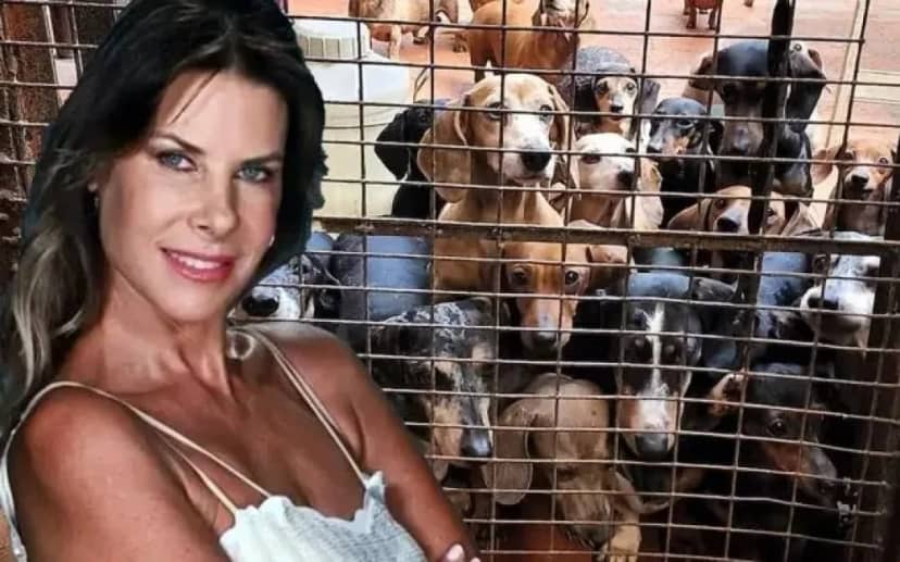 La diputada Karen Reichardt presentó su polémico proyecto para habilitar criaderos de perros y gatos