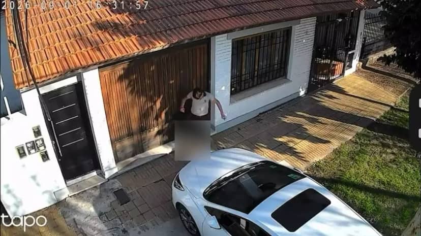 Un adolescente le aplastó la cabeza a un gato, huyó caminando y ahora lo investiga la Justicia