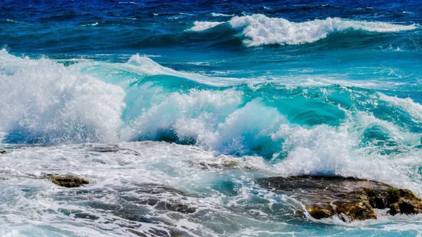 Pensábamos que estábamos protegiendo los océanos. La ciencia dice que apenas lo estamos haciendo