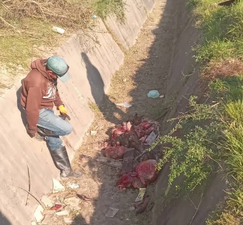 Municipio pide colaboración para evitar el arrojo de basura en canales y desagües