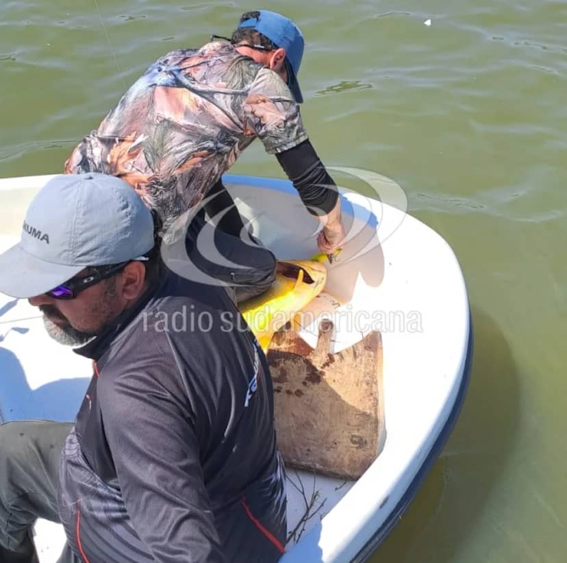 Ejemplares de hasta 8 kilos: Jamás vi tantos dorados de ese tamaño