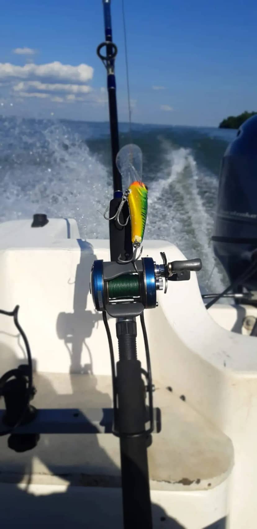 Veda extraordinaria en el río Paraná por concentración de dorados