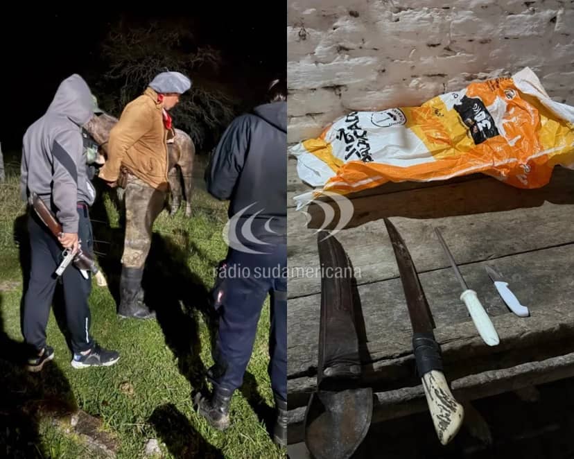Empleados infieles de una estancia detenidos por abigeato